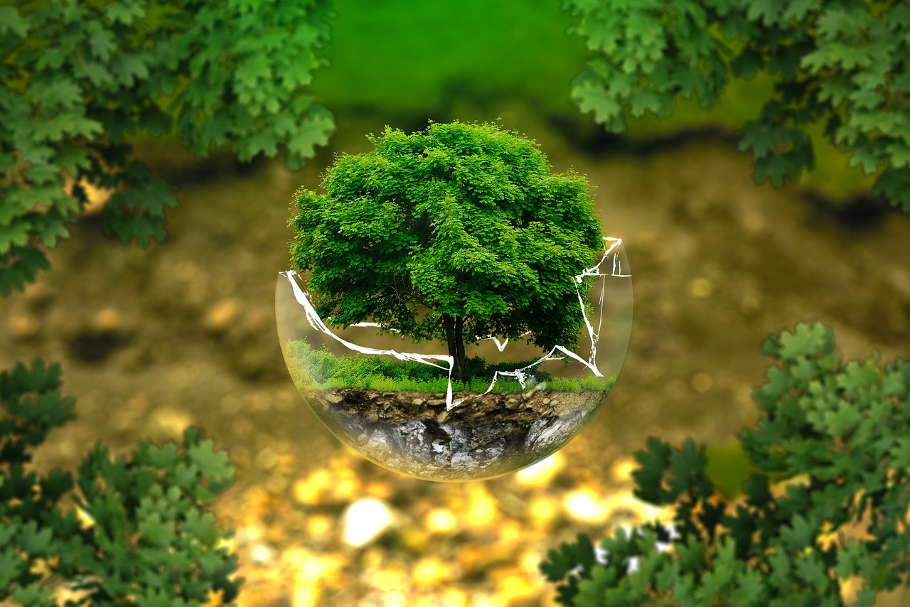 découvrez l'impact environnemental des activités humaines et apprenez comment minimiser votre empreinte écologique. explorez des solutions durables et des pratiques responsables pour préserver notre planète.