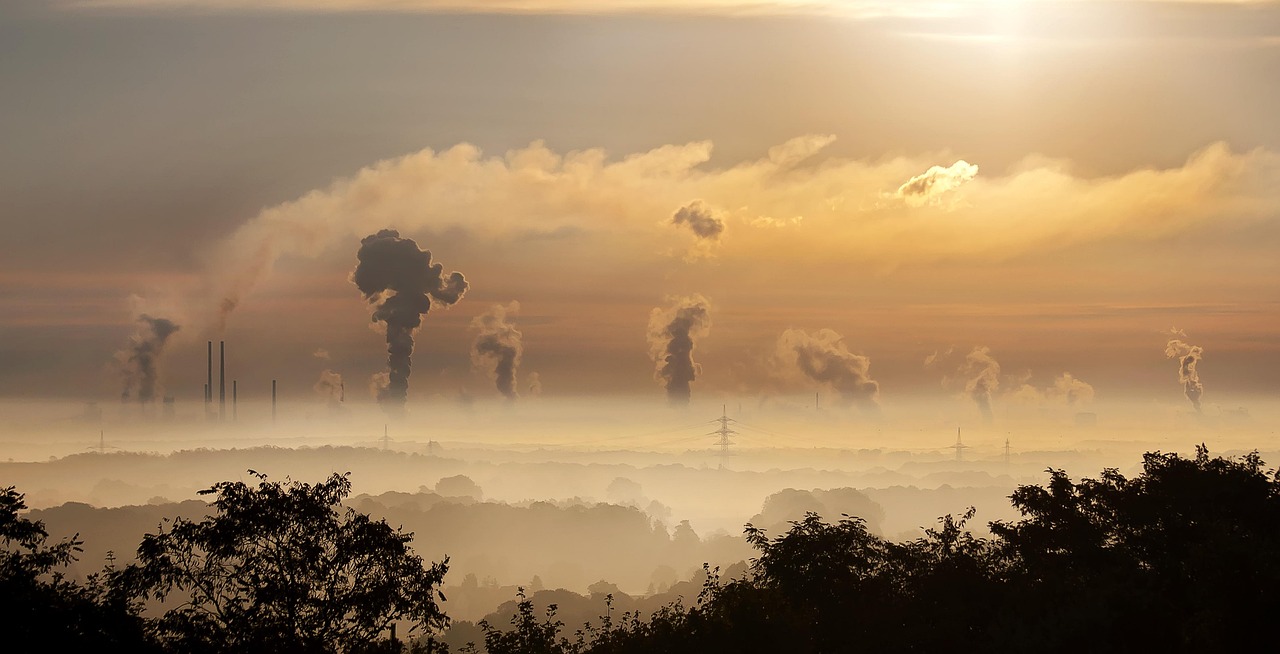 découvrez les risques environnementaux qui menacent notre planète, comprenant la pollution, le changement climatique et la perte de biodiversité. informez-vous sur les enjeux actuels et les solutions durables pour préserver notre environnement.