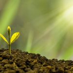Financement vert : comprendre les enjeux et opportunités pour un avenir durable
