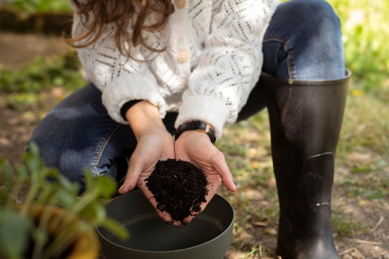 découvrez comment adopter un mode de vie durable avec des astuces pratiques et des conseils éco-responsables. transformez votre quotidien en réduisant votre empreinte carbone et en soutenant des initiatives respectueuses de l'environnement.