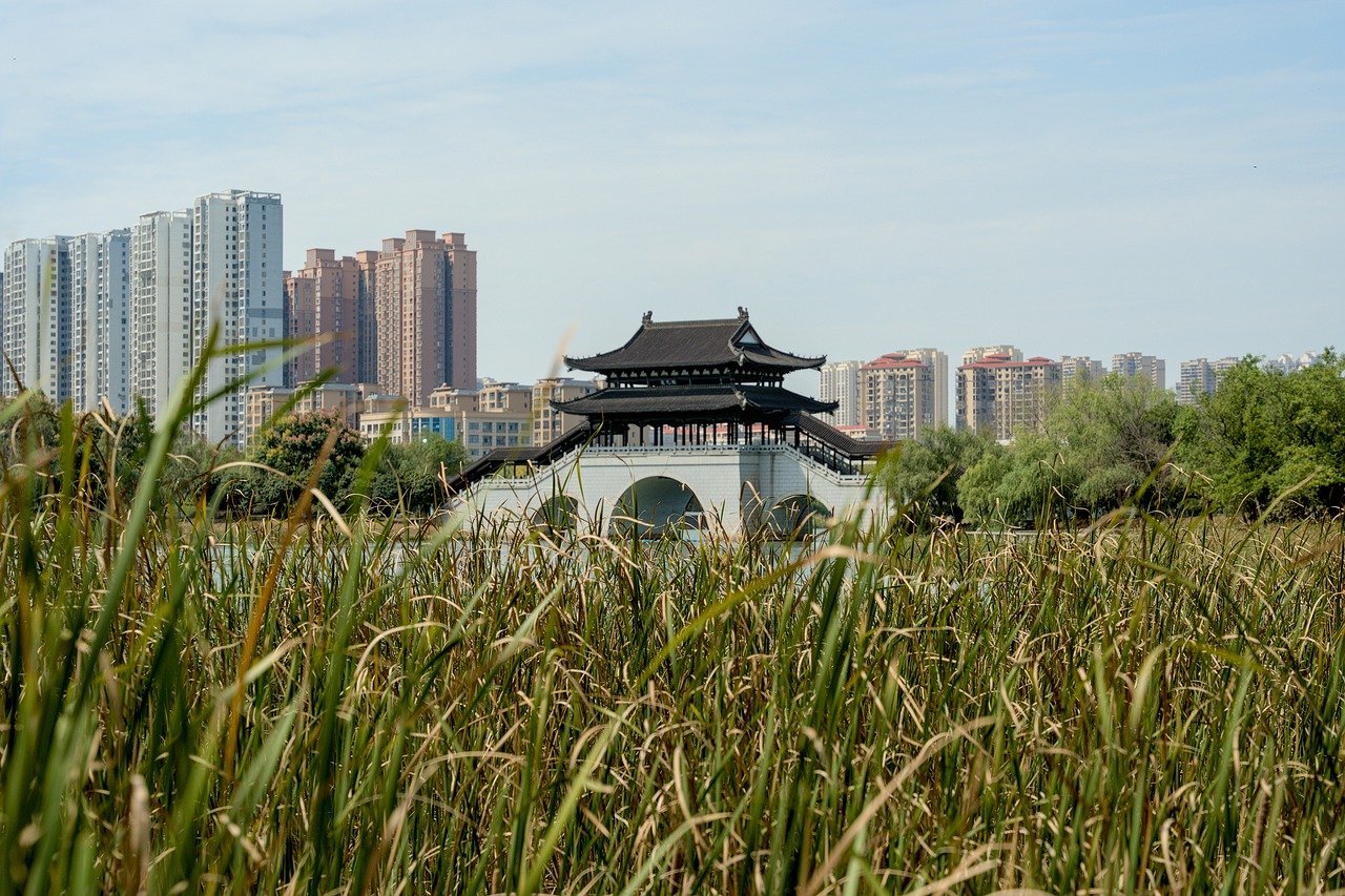découvrez l'univers des jardins urbains, où la nature s'invite en ville. apprenez à créer votre propre oasis verte, à cultiver des plantes potagères et à optimiser l'espace dans votre environnement citadin.
