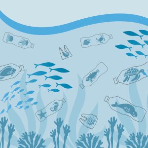 Initiatives zéro déchet : comment adopter un mode de vie plus durable