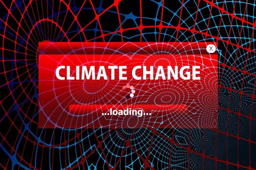 Proécologie : comprendre les enjeux de la durabilité environnementale