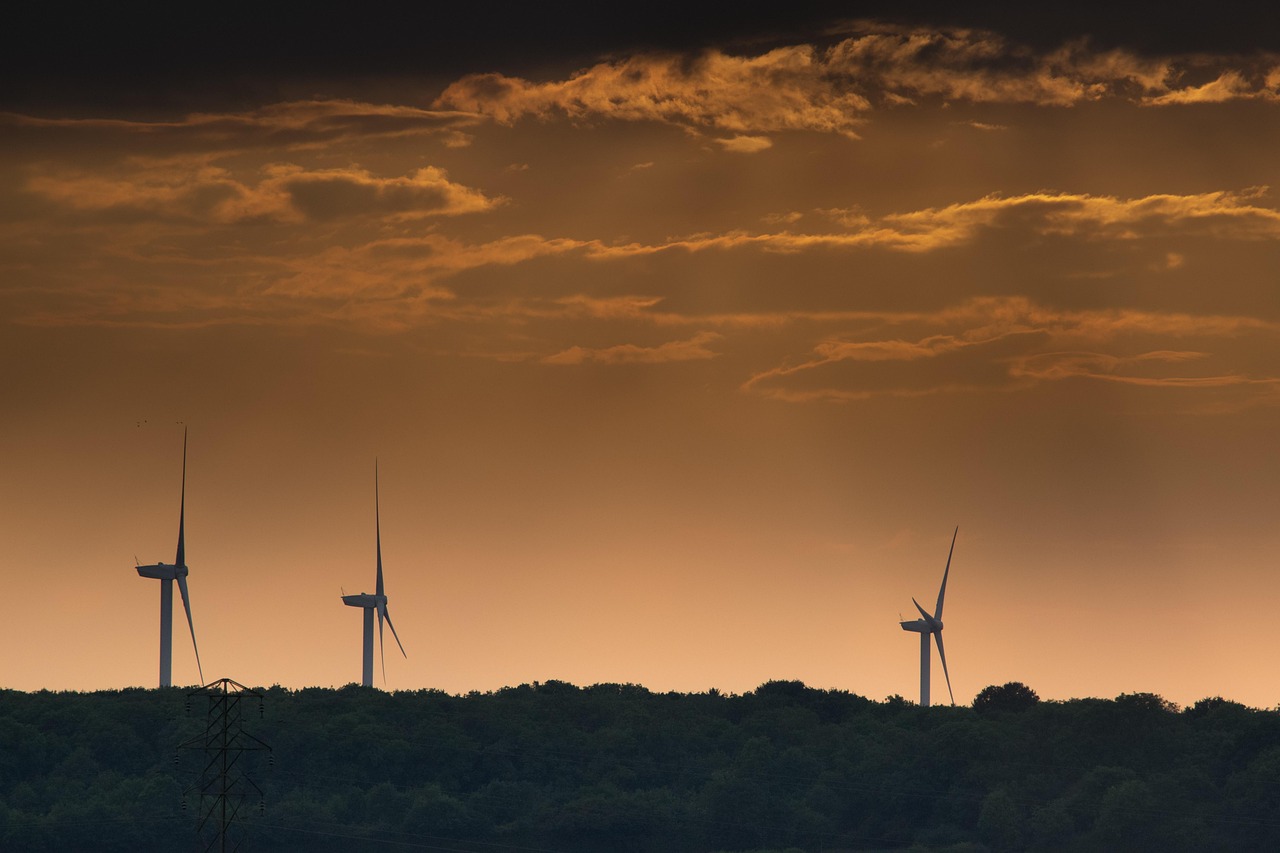découvrez les ressources renouvelables, leur importance pour l'environnement et leur rôle dans la transition énergétique. informez-vous sur les différentes sources d'énergie renouvelable et comment elles contribuent à un avenir durable.