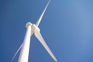 Ressources renouvelables : un avenir durable pour notre planète