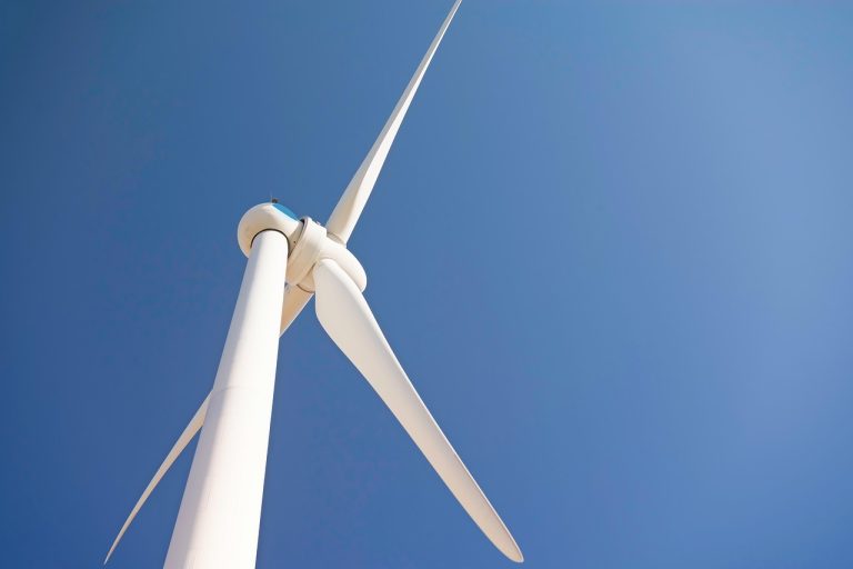 Ressources renouvelables : un avenir durable pour notre planète