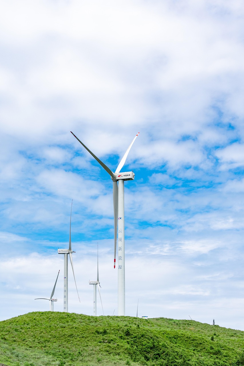 découvrez les enjeux du développement durable, une approche essentielle pour garantir un avenir respectueux de l'environnement, socialement équitable et économiquement viable. informez-vous sur les initiatives, les pratiques écologiques et les solutions innovantes pour un monde meilleur.