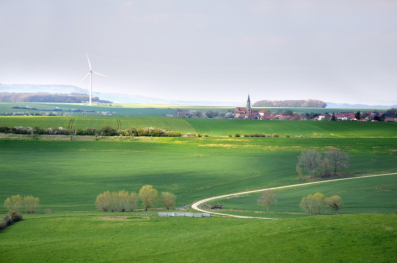 découvrez les principes du développement durable, une approche essentielle pour équilibrer la croissance économique, la protection de l'environnement et le bien-être social. apprenez comment intégrer des pratiques durables dans vos projets et contribuer à un avenir plus vert.