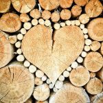 Gestion forestière : stratégies durables pour préserver nos forêts