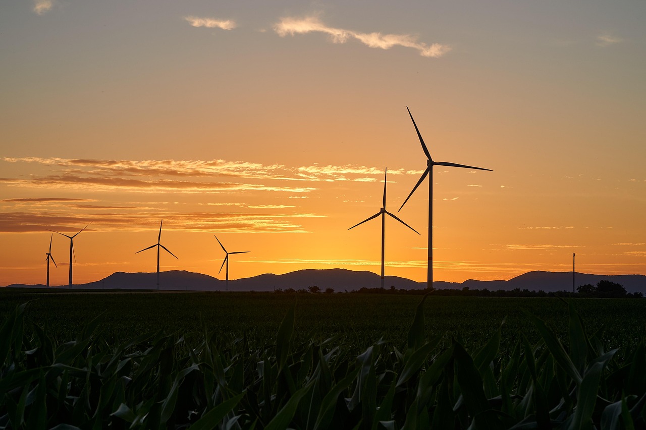 découvrez des initiatives durables qui transforment notre société et protègent notre planète. explorez des projets innovants et des actions écologiques pour un avenir plus vert.