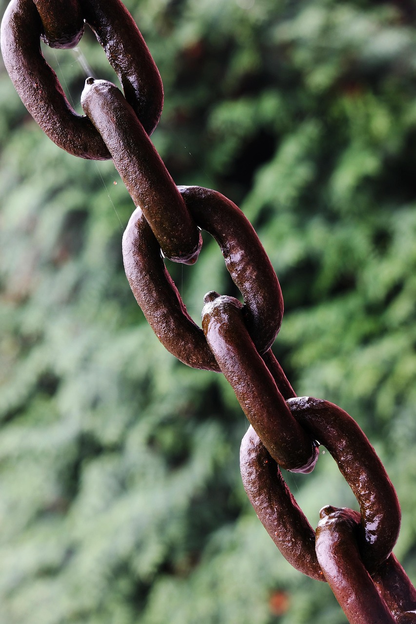 découvrez comment une chaîne d'approvisionnement durable peut transformer votre entreprise en optimisant les ressources, en réduisant l'empreinte carbone et en renforçant la responsabilité sociale. explorez des pratiques éthiques et innovantes pour un avenir plus vert.