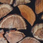 Circularité : comprendre l’importance d’un modèle économique durable