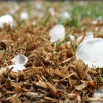 Impact climatique : comprendre ses conséquences et enjeux pour notre avenir
