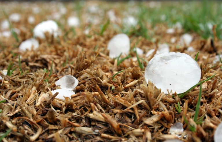 Impact climatique : comprendre ses conséquences et enjeux pour notre avenir
