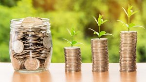 Investissement climatique : stratégies pour un avenir durable