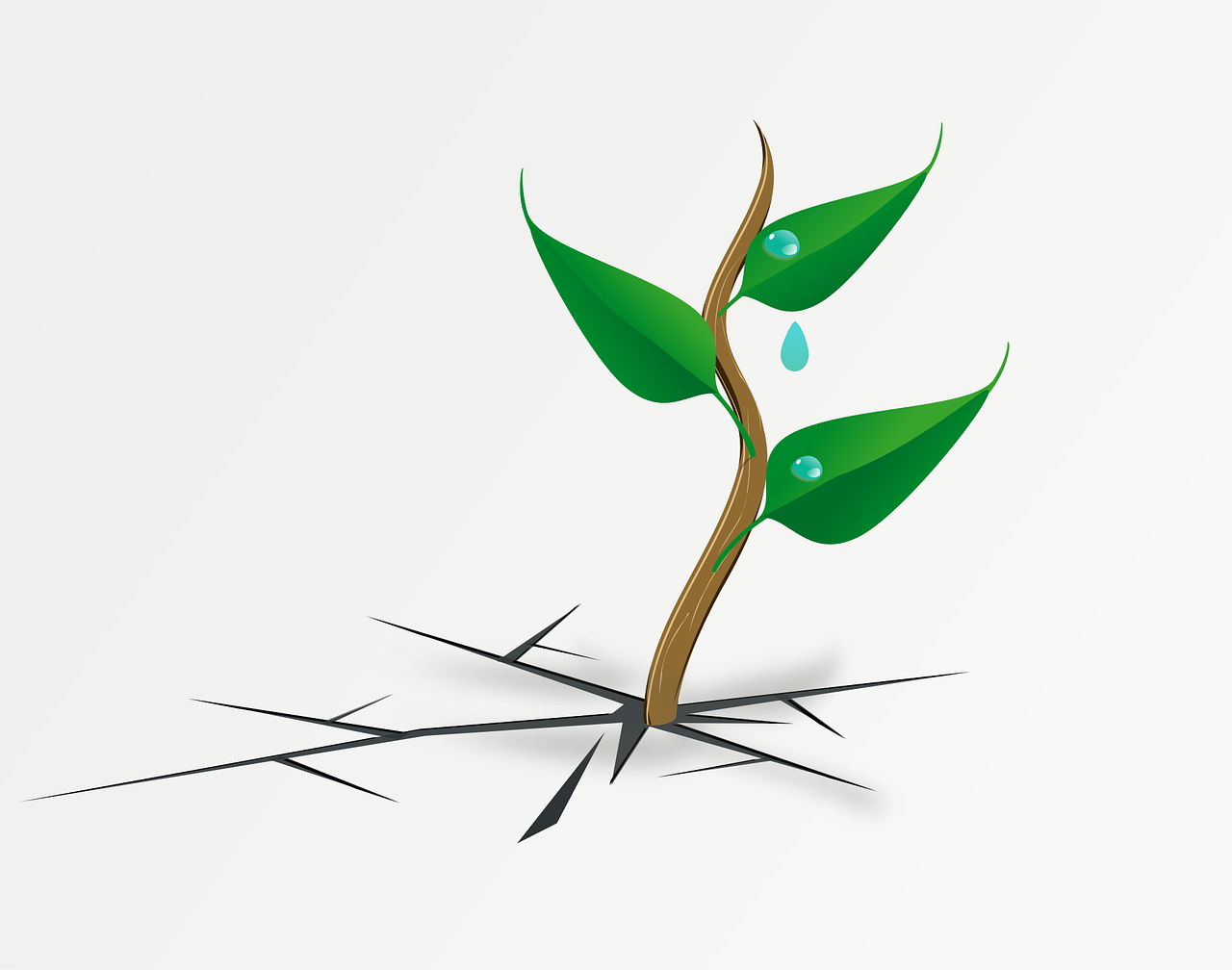 découvrez le concept de résilience et son importance dans la surmonte des défis de la vie. apprenez comment développer cette qualité pour faire face aux adversités et en sortir plus fort, tant sur le plan personnel que professionnel.