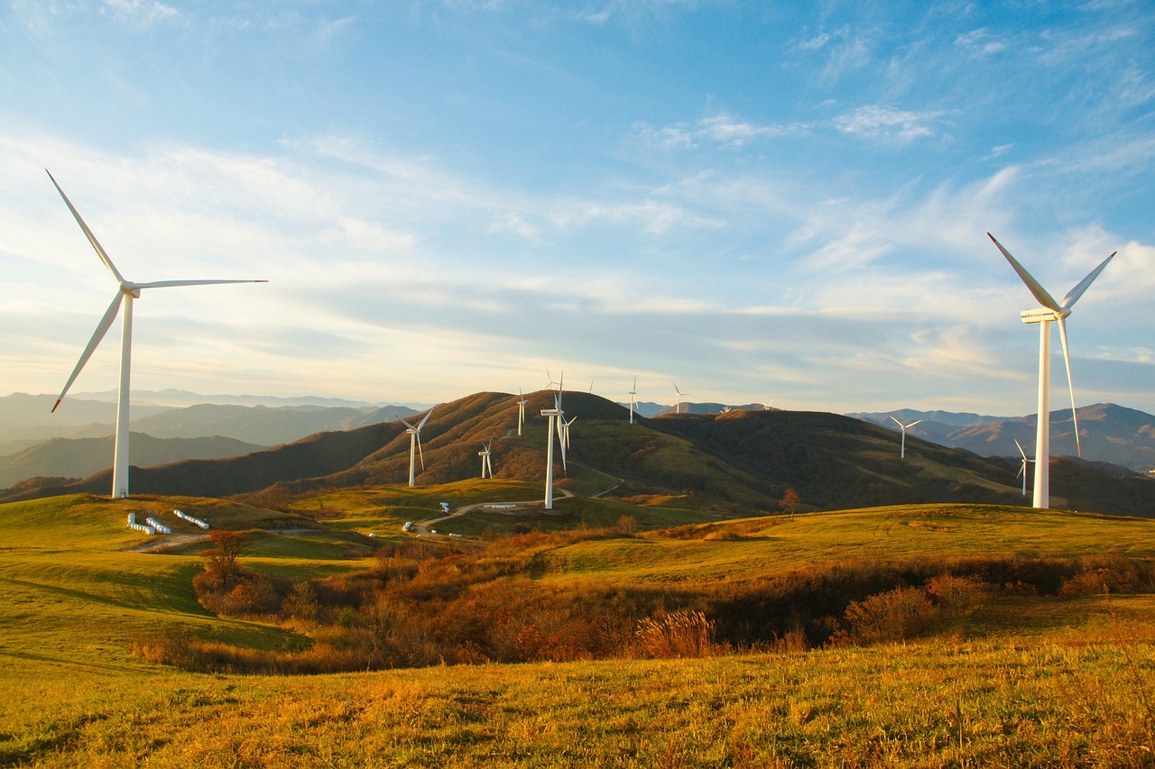 découvrez l'importance de la durabilité et comment adopter des pratiques respectueuses de l'environnement dans votre quotidien. explorez nos conseils pour un mode de vie plus écoresponsable et contribuez à un avenir plus vert.