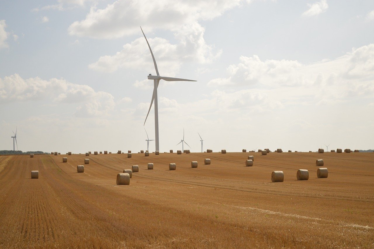 découvrez comment adopter un mode de vie durable avec des conseils, des astuces et des ressources pour préserver l'environnement tout en améliorant votre bien-être au quotidien.