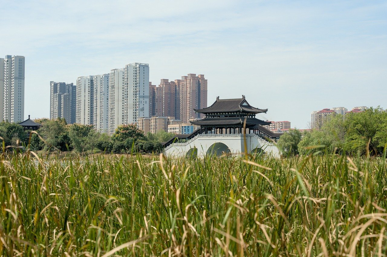 d&eacute;couvrez comment cr&eacute;er un jardin en permaculture urbaine pour cultiver vos propres l&eacute;gumes et favoriser la biodiversit&eacute; en milieu citadin.